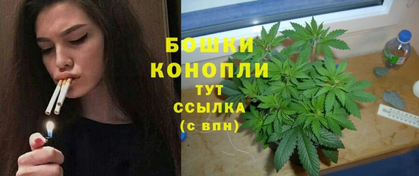 дурь Белоозёрский