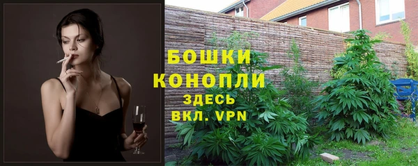 твердый Богданович